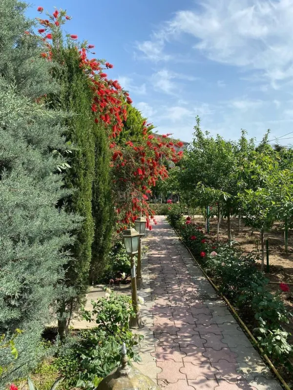 Kirayə verilir 5 otaqlı həyət evi 360 m²