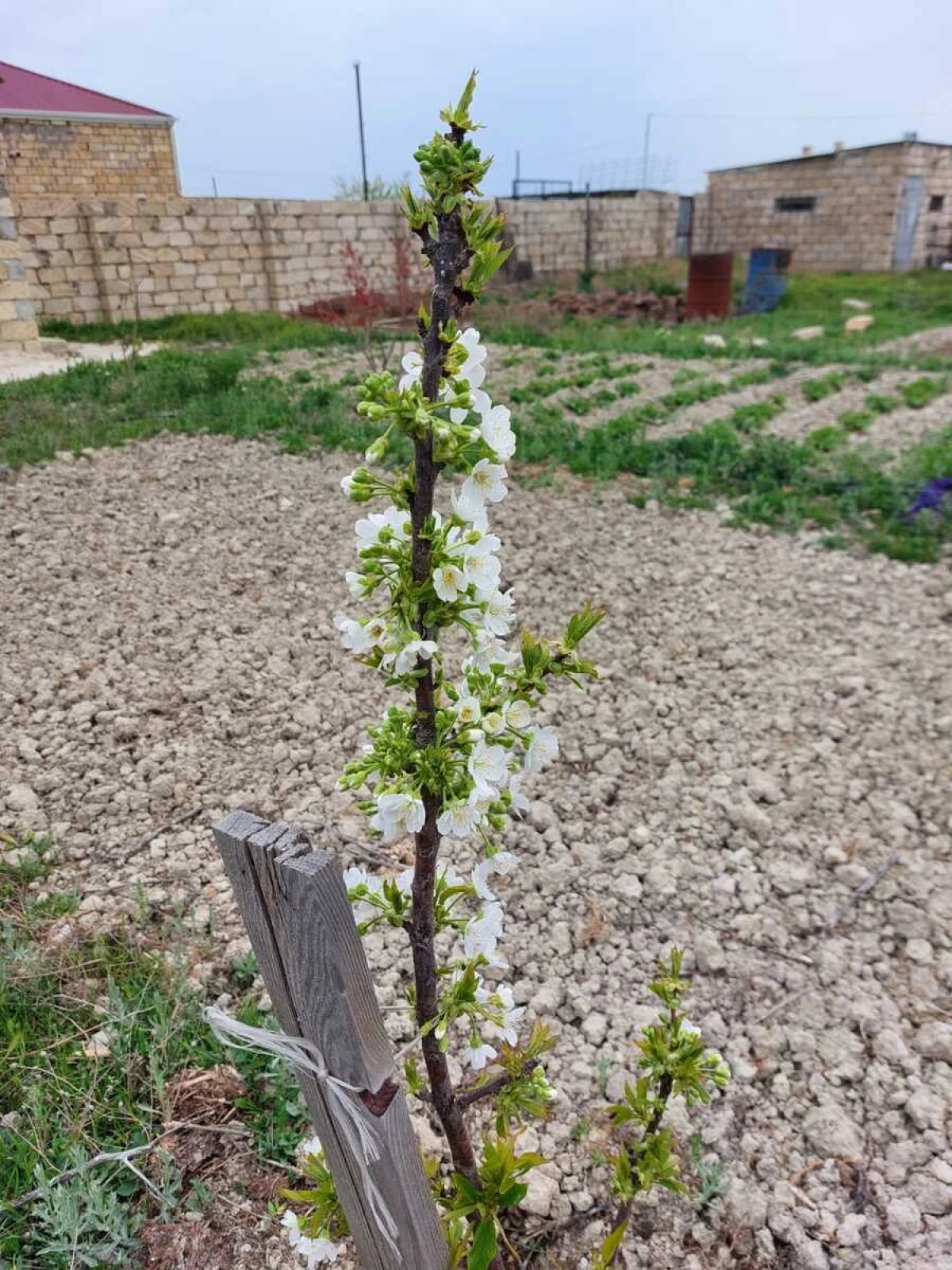 Satılır torpaq sahəsi 16 m²