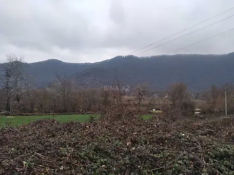 Satılır torpaq sahəsi 50 m² — Qəbələ 50.00 m²