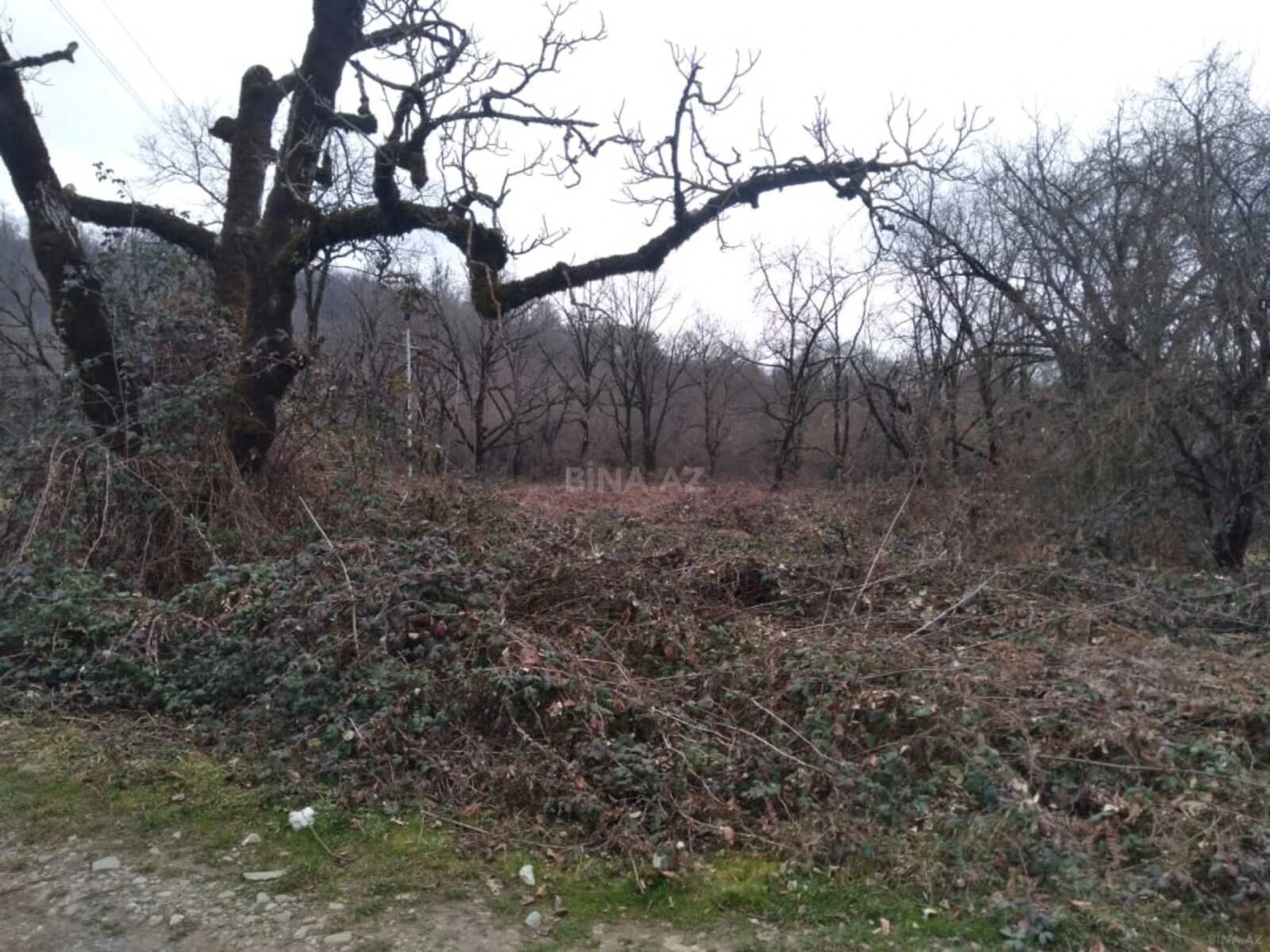 Satılır torpaq sahəsi 50 m²