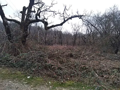 Satılır torpaq sahəsi 50 m²