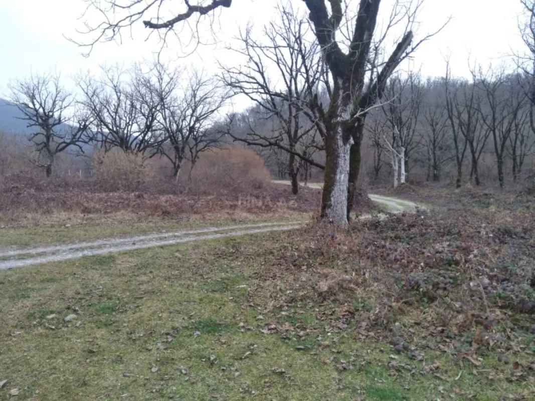 Satılır torpaq sahəsi 50 m²