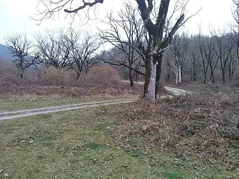 Satılır torpaq sahəsi 50 m²