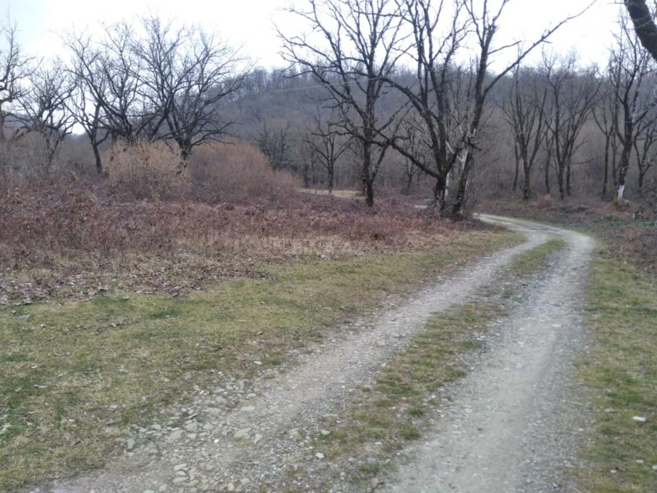 Satılır torpaq sahəsi 50 m²