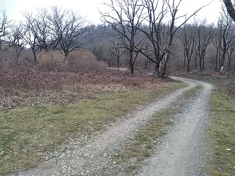 Satılır torpaq sahəsi 50 m²