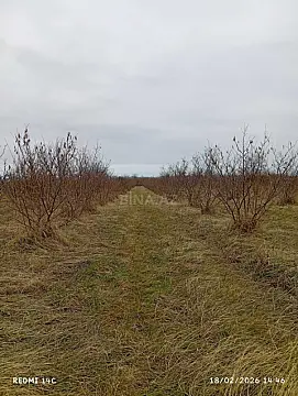 Satılır torpaq sahəsi 72 m²