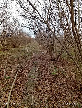 Satılır torpaq sahəsi 72 m²