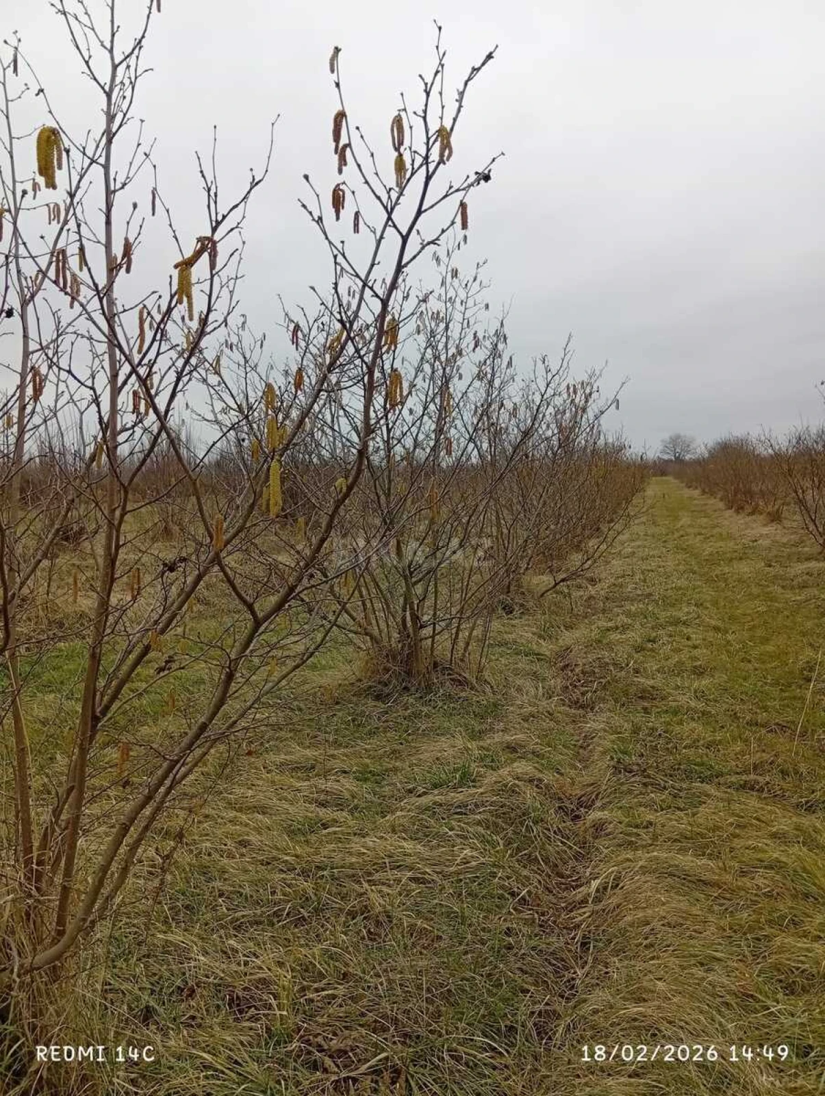 Satılır torpaq sahəsi 72 m²