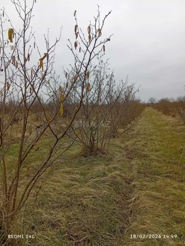 Satılır torpaq sahəsi 72 m²