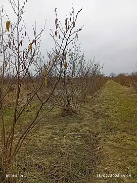 Satılır torpaq sahəsi 72 m²