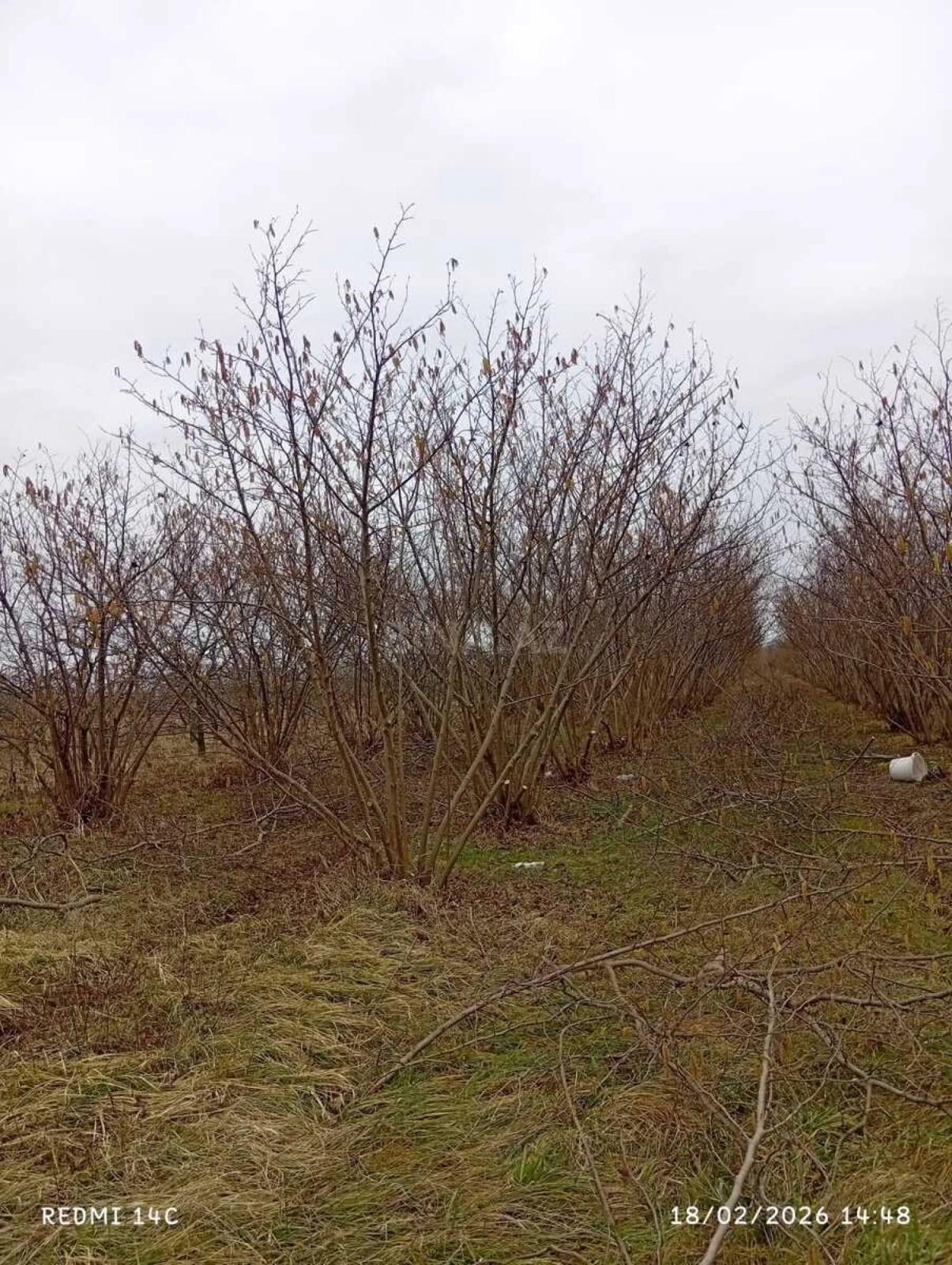 Satılır torpaq sahəsi 72 m²