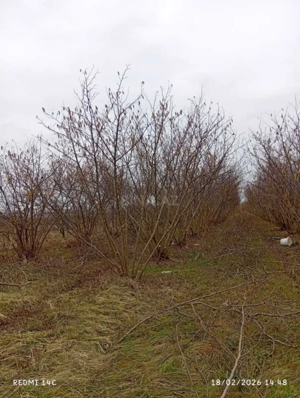 Satılır torpaq sahəsi 72 m²