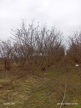 Satılır torpaq sahəsi 72 m²