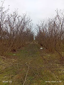 Satılır torpaq sahəsi 72 m² — Xaçmaz 72.00 m²