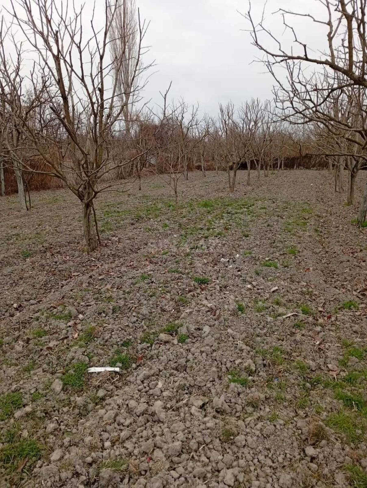 Satılır torpaq sahəsi 20 m²