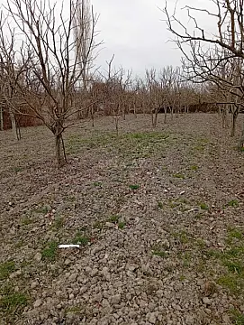 Satılır torpaq sahəsi 20 m²