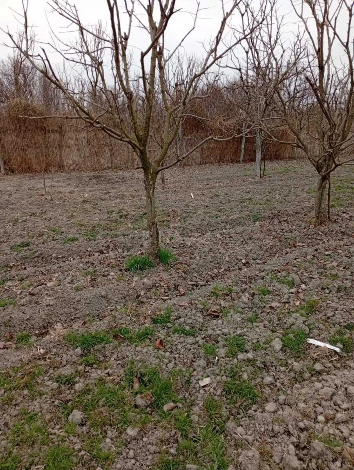 Satılır torpaq sahəsi 20 m²