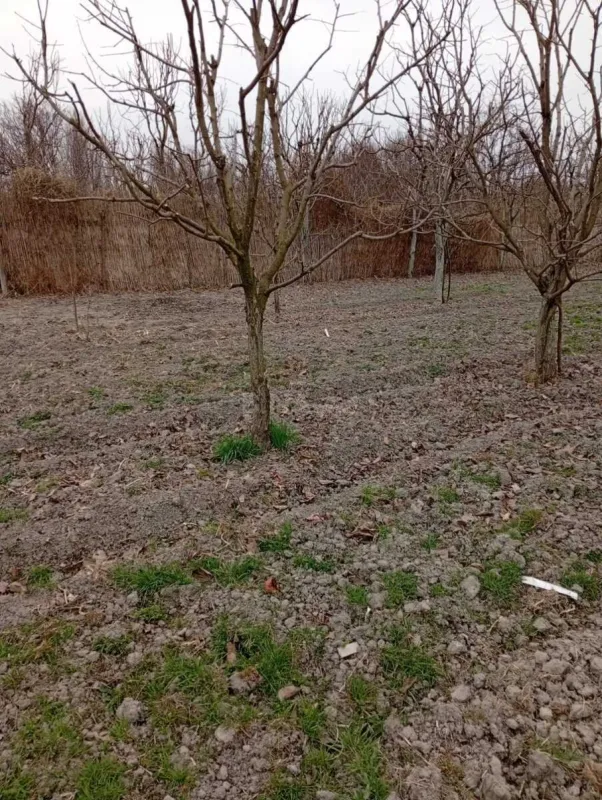 Satılır torpaq sahəsi 20 m²