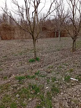 Satılır torpaq sahəsi 20 m²