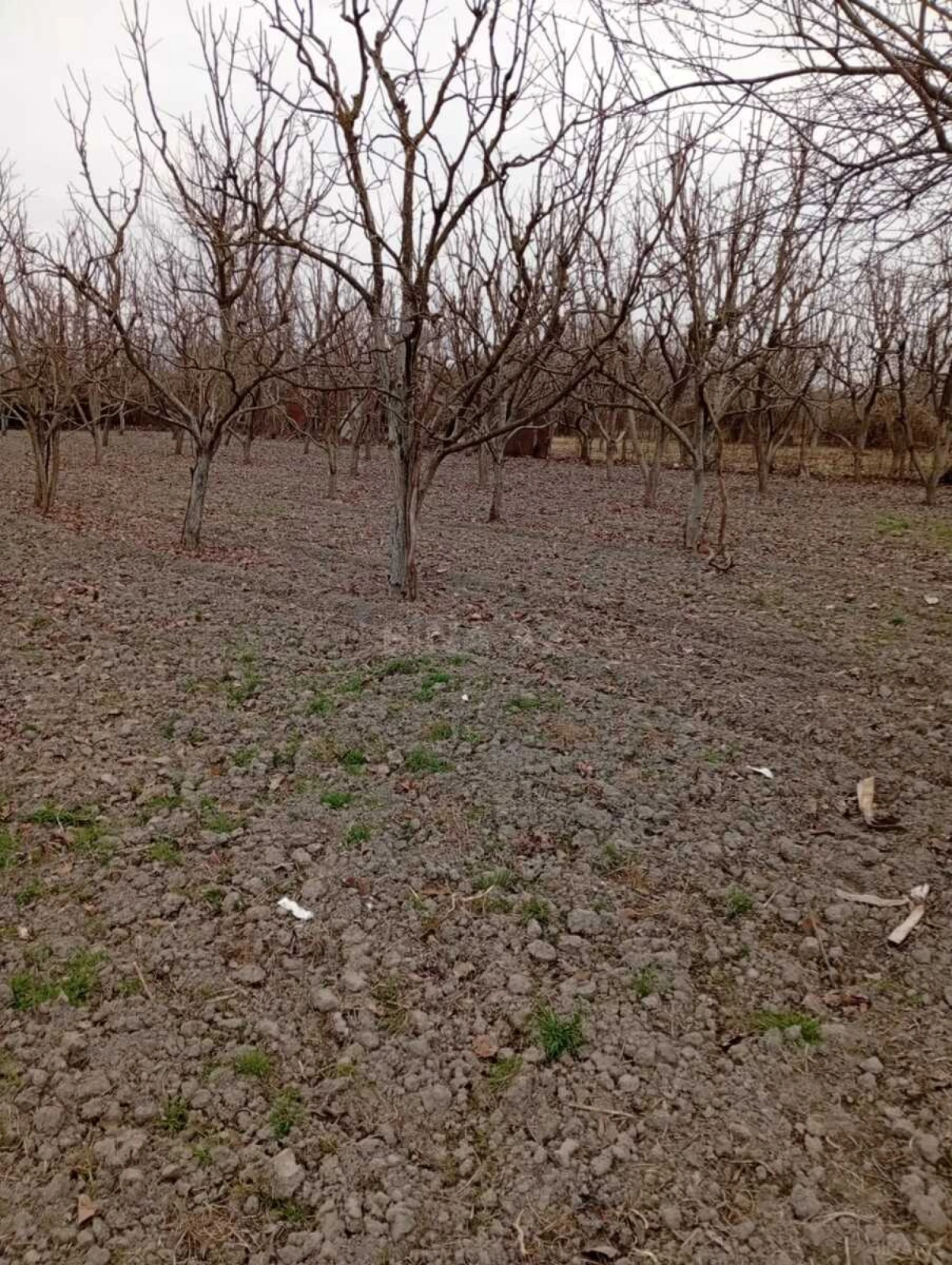 Satılır torpaq sahəsi 20 m²