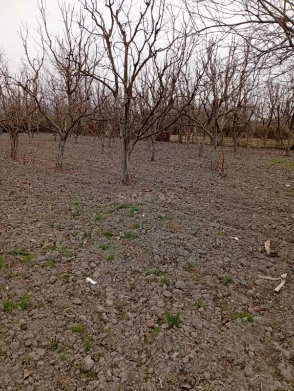 Satılır torpaq sahəsi 20 m²