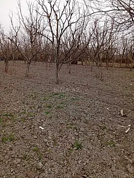 Satılır torpaq sahəsi 20 m²