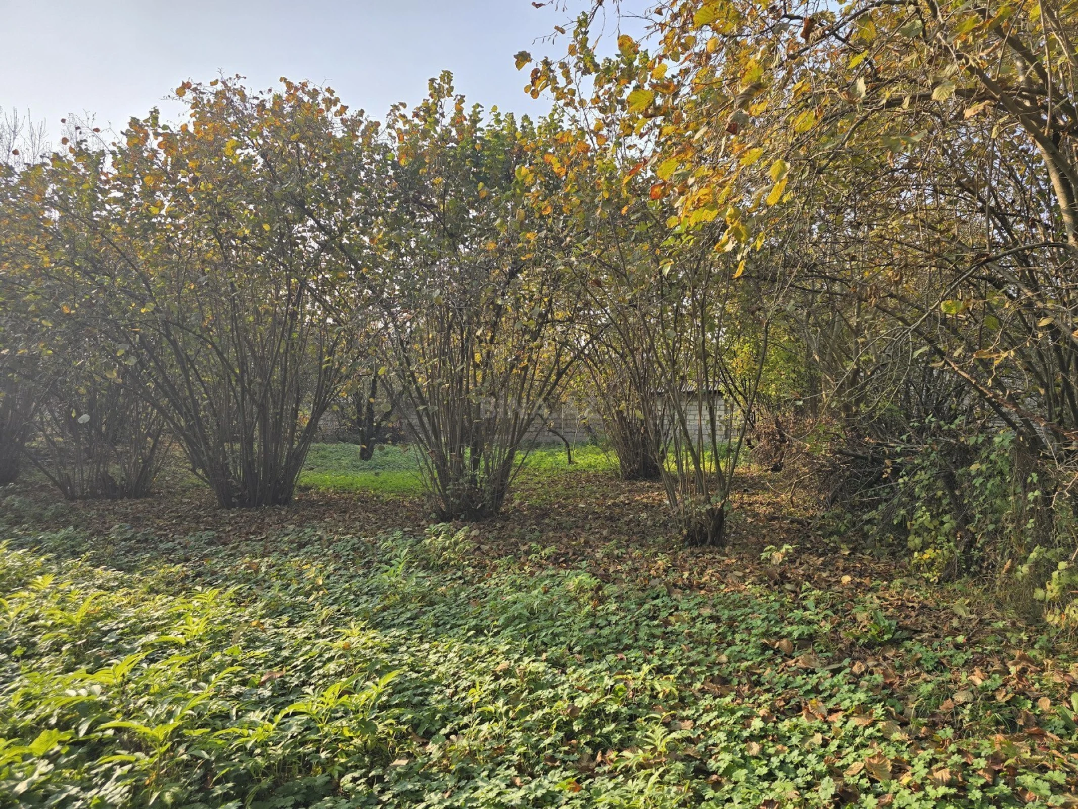 Satılır torpaq sahəsi 15 m²