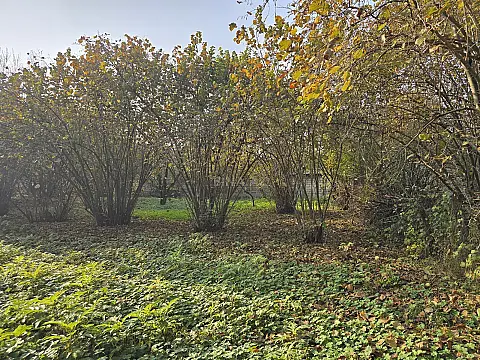 Satılır torpaq sahəsi 15 m²