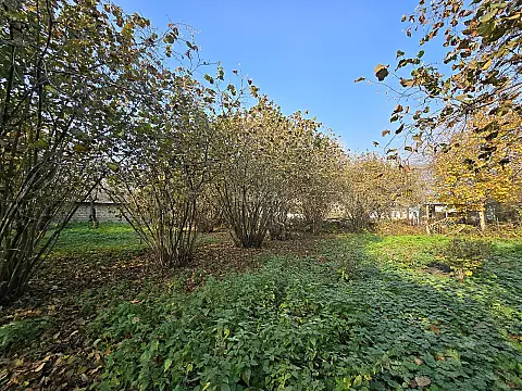 Satılır torpaq sahəsi 15 m² — Qəbələ 15.00 m²