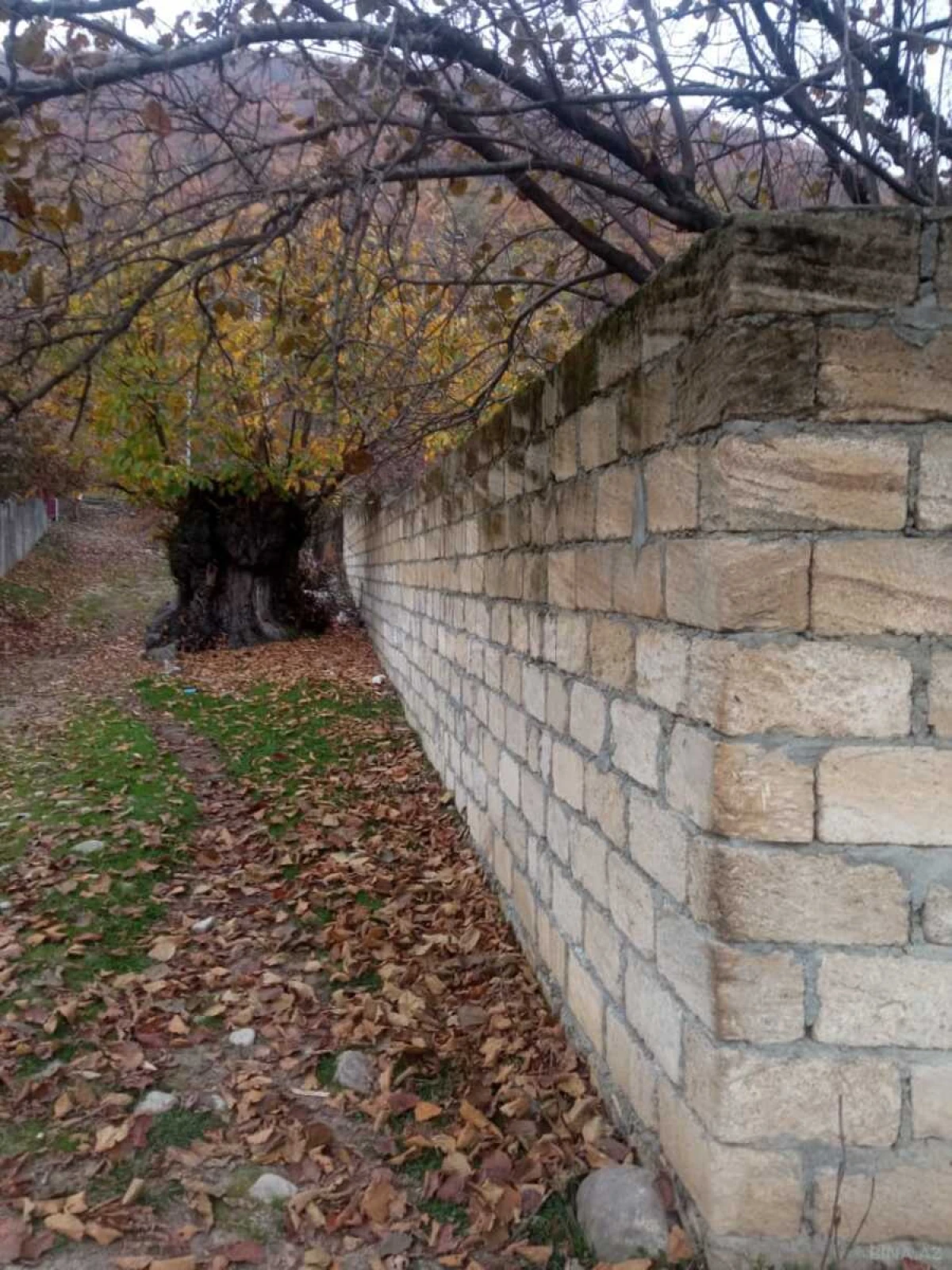 Satılır torpaq sahəsi 12 m²