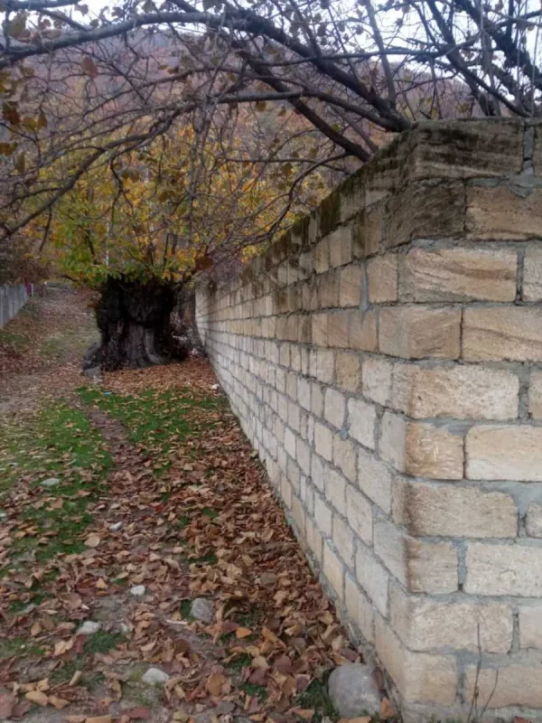Satılır torpaq sahəsi 12 m²