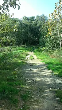 Satılır torpaq sahəsi 18 m²