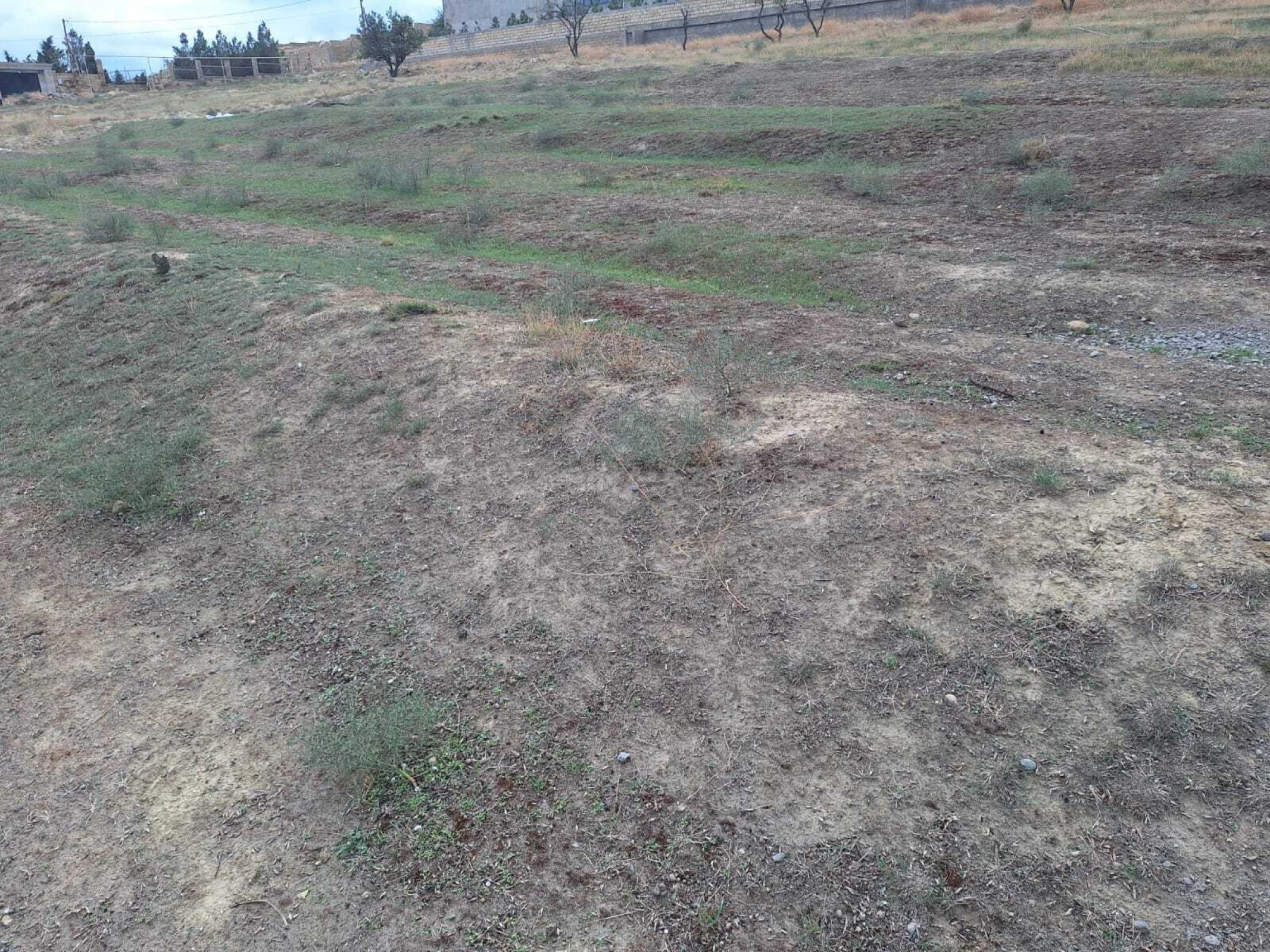 Satılır torpaq sahəsi 60 m²