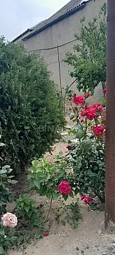 Satılır 4 otaqlı həyət evi 120 m²