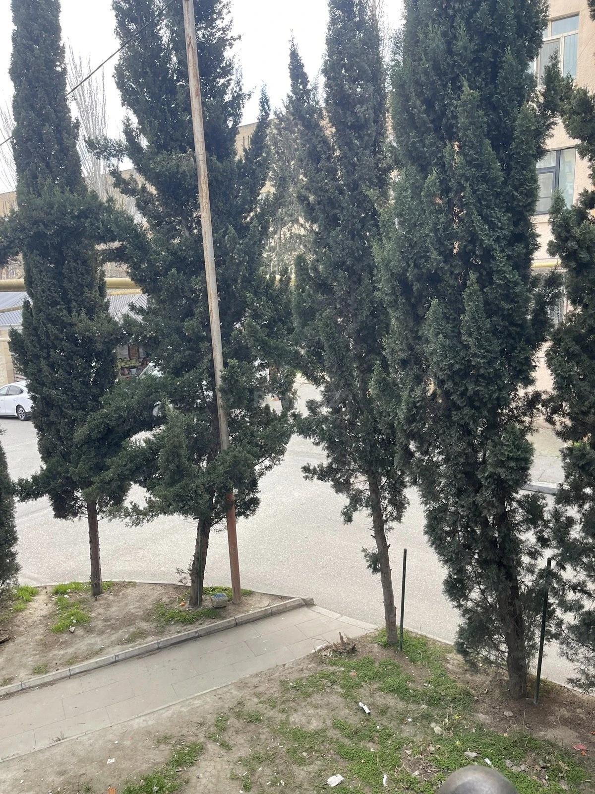 Satılır obyekt 320 m²