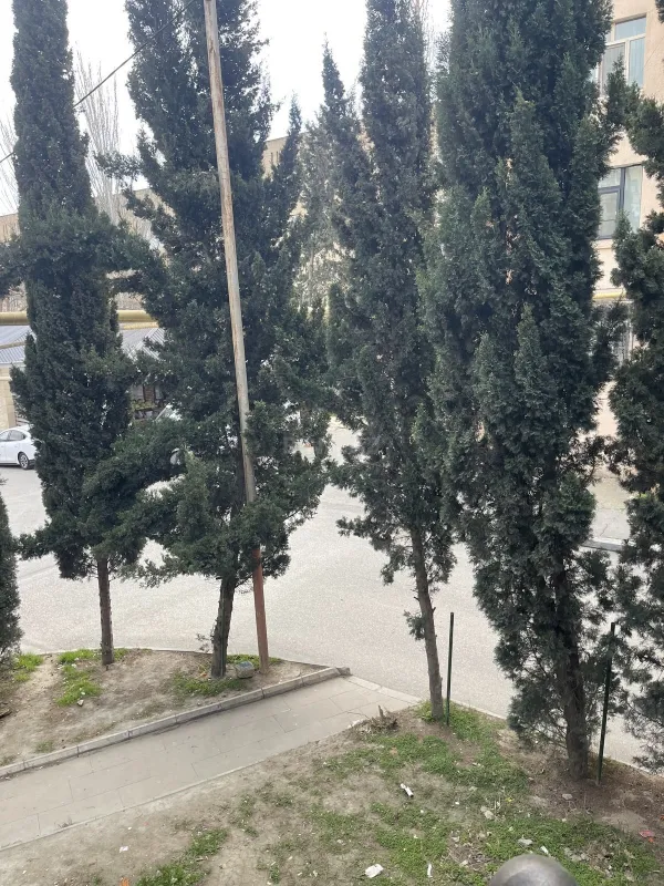 Satılır obyekt 320 m²