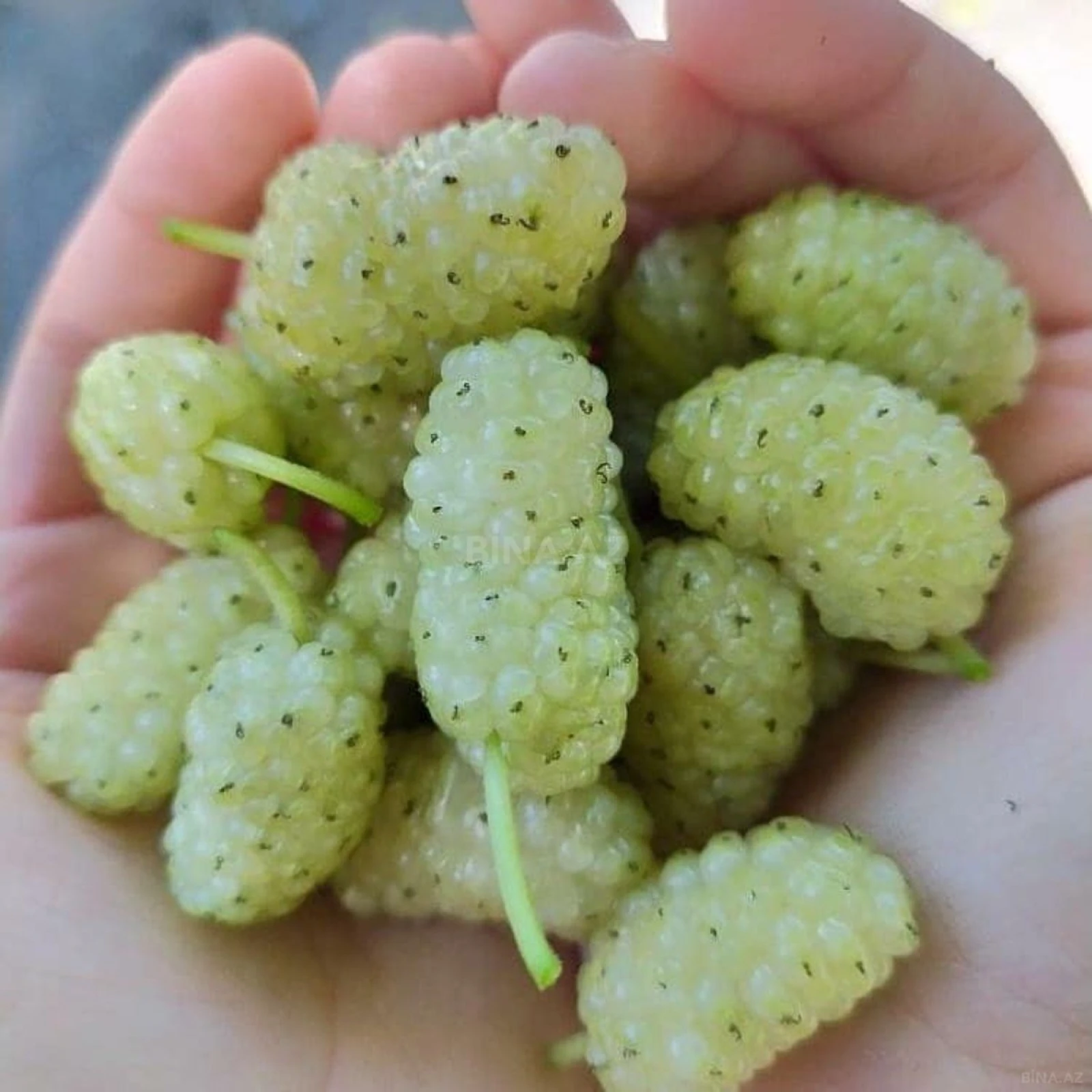 Satılır 3 otaqlı həyət evi 71 m²