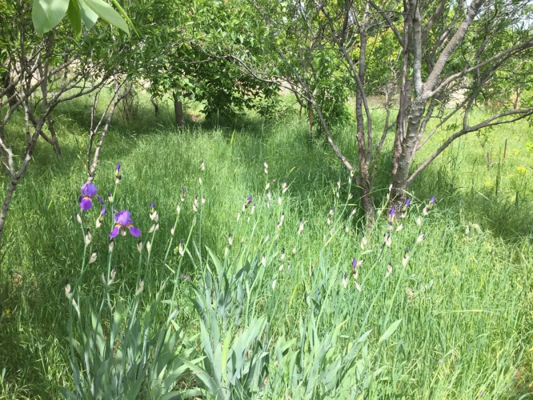 Satılır 3 otaqlı həyət evi 71 m²