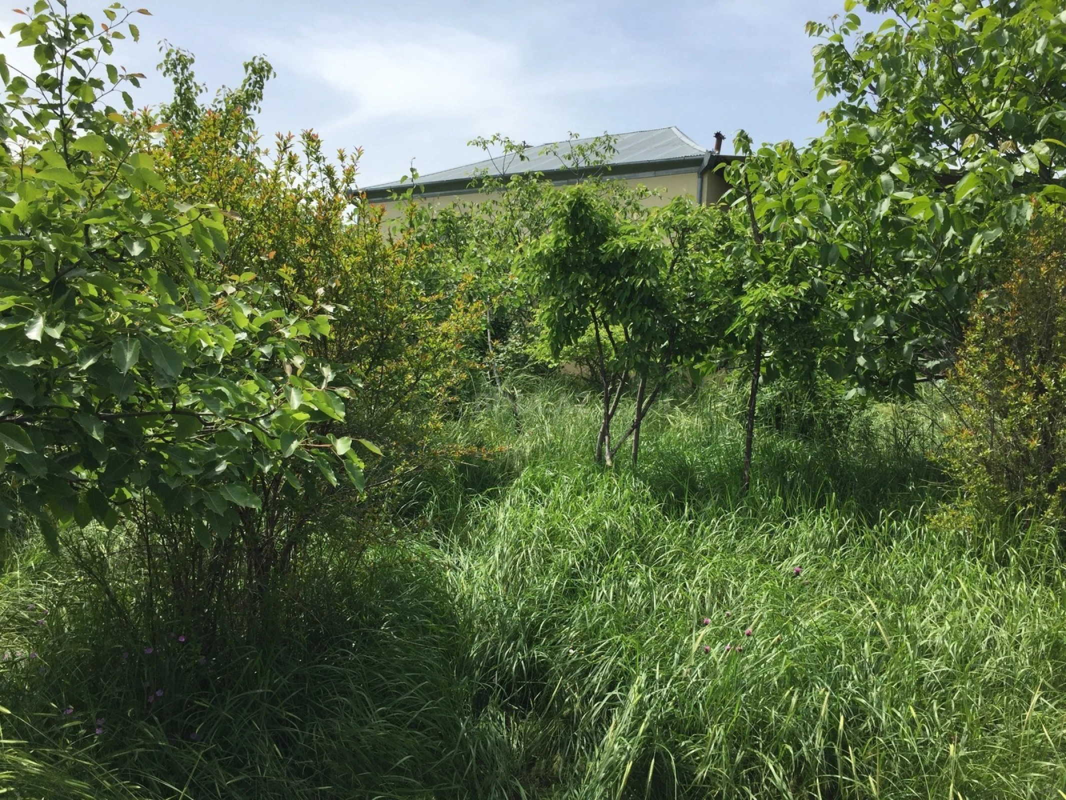 Satılır 3 otaqlı həyət evi 71 m²