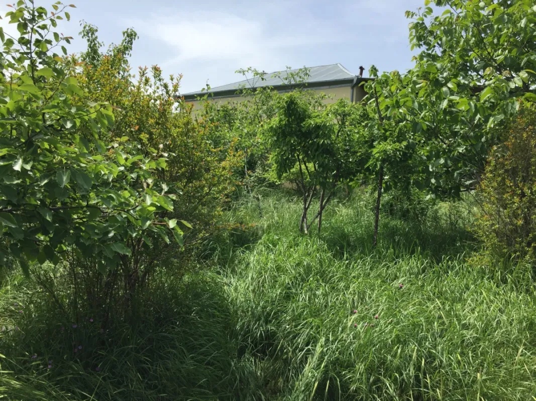 Satılır 3 otaqlı həyət evi 71 m²