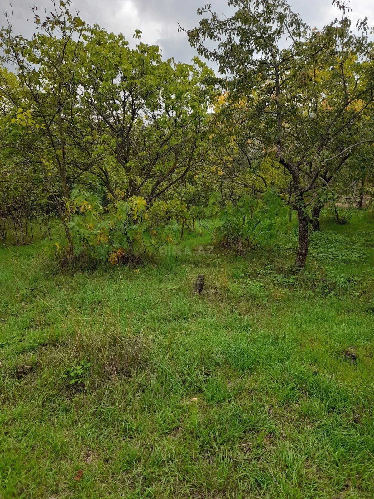 Satılır 3 otaqlı həyət evi 71 m²