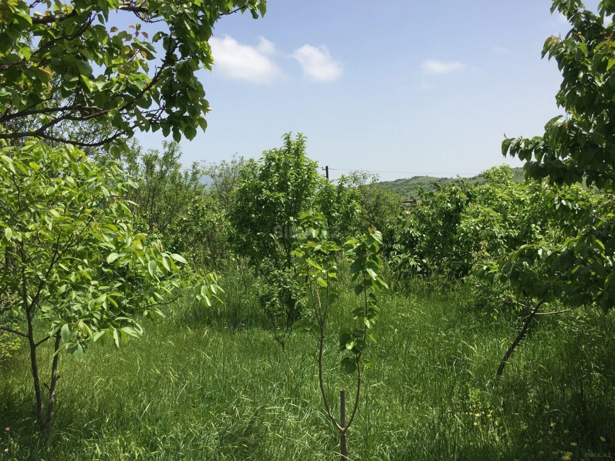 Satılır 3 otaqlı həyət evi 71 m²