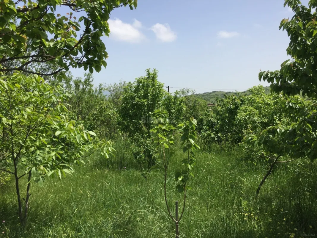 Satılır 3 otaqlı həyət evi 71 m²