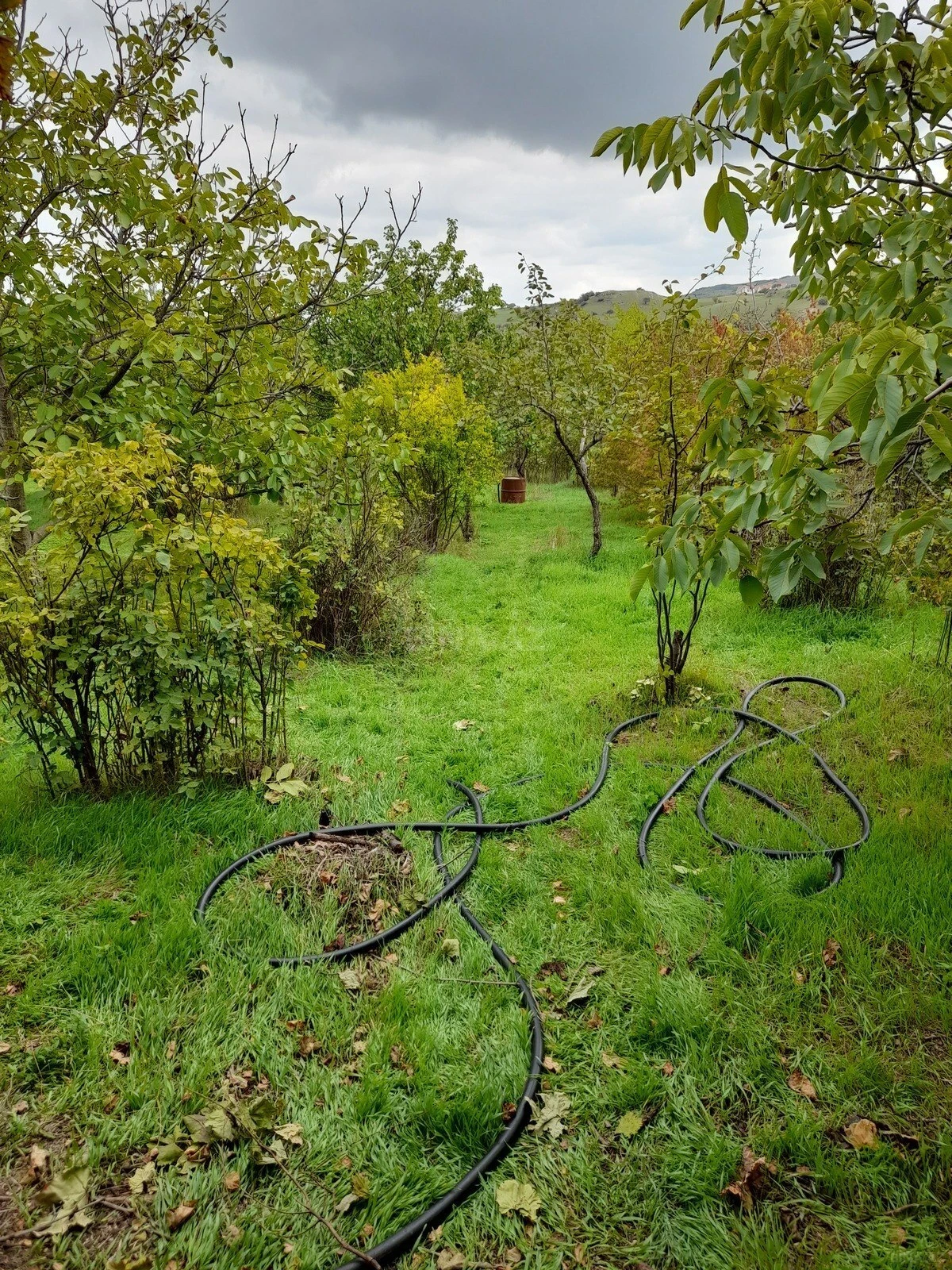 Satılır 3 otaqlı həyət evi 71 m²