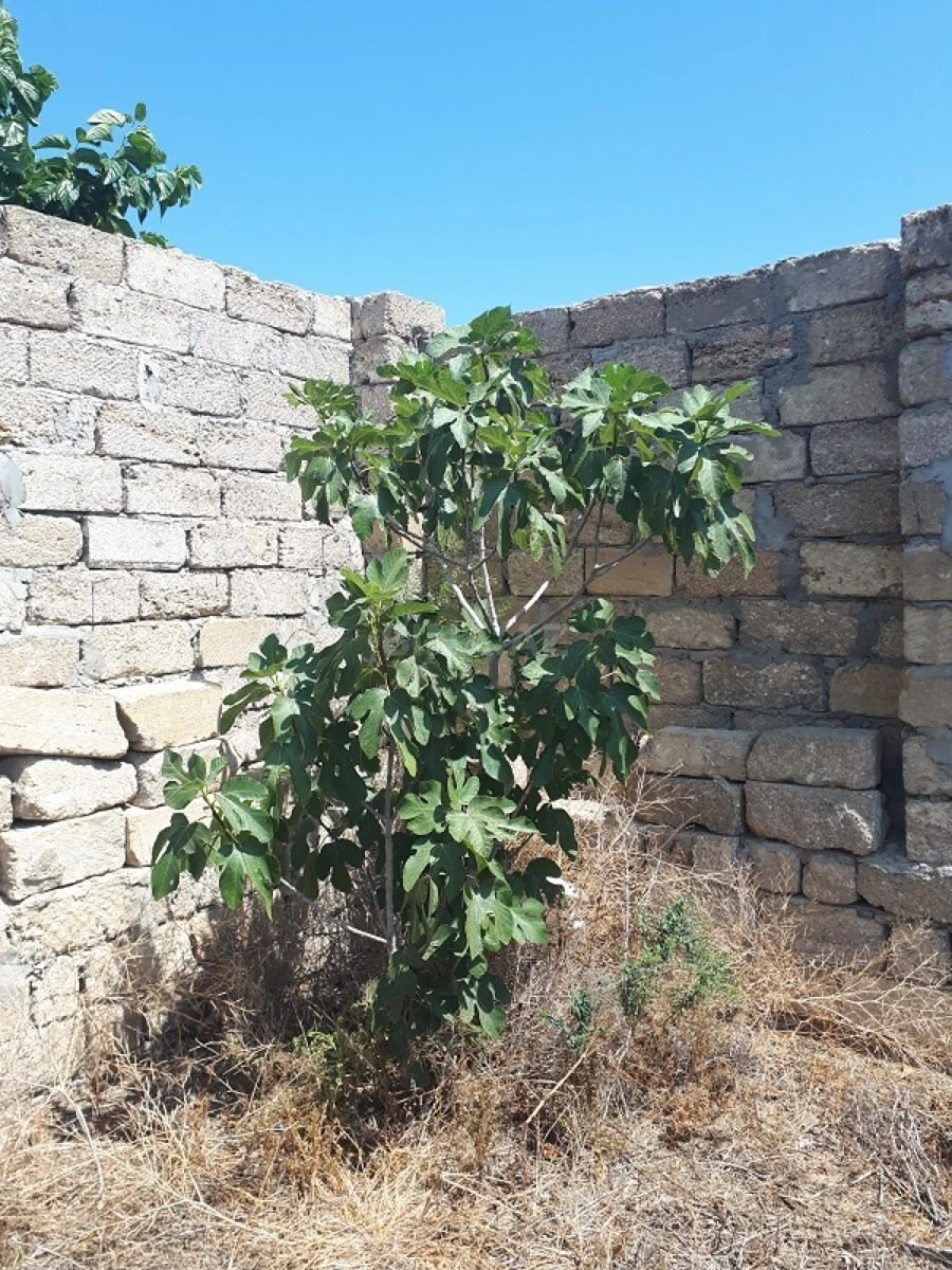 Satılır torpaq sahəsi 10 m²