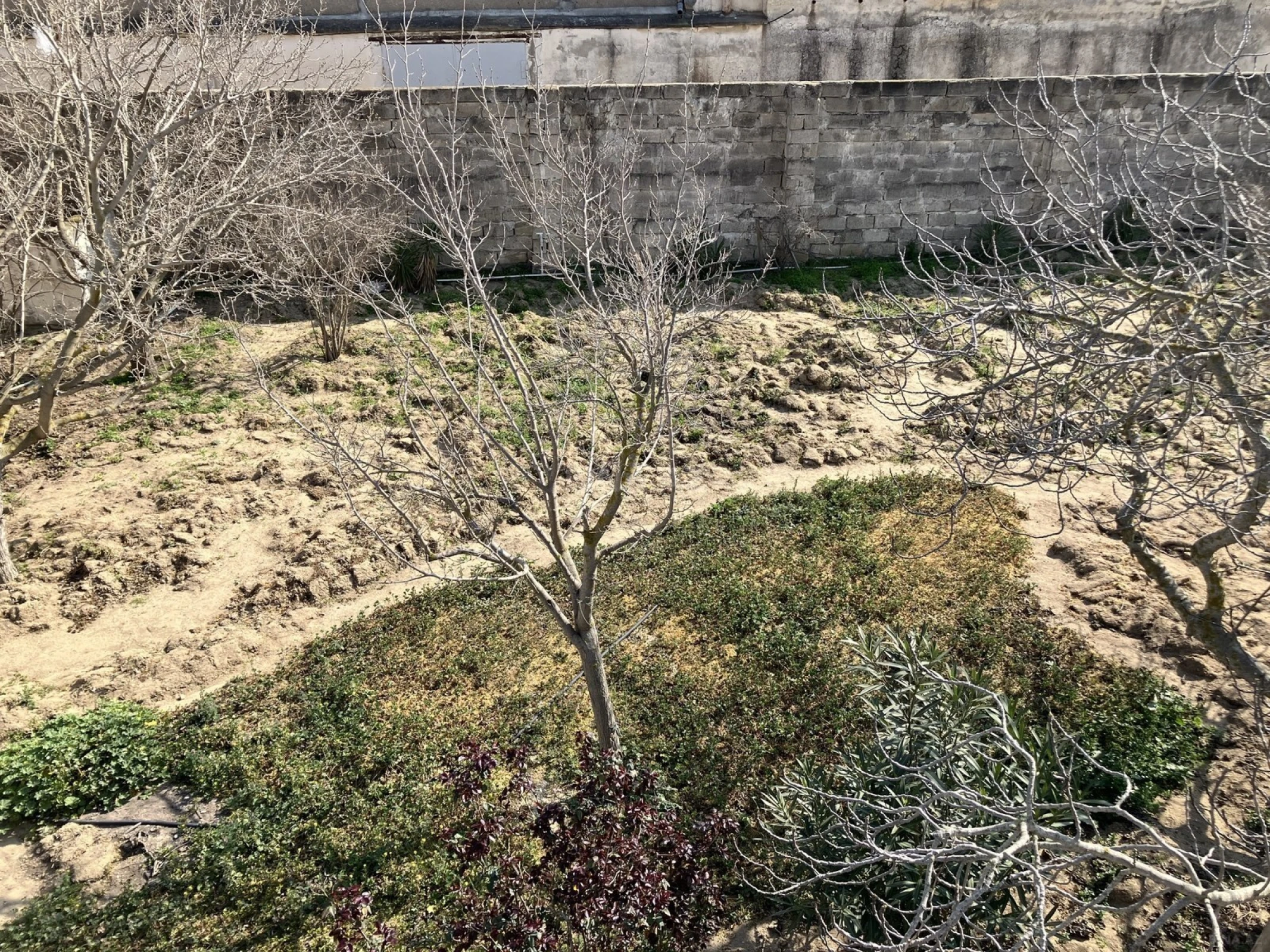 Satılır torpaq sahəsi 6 m²