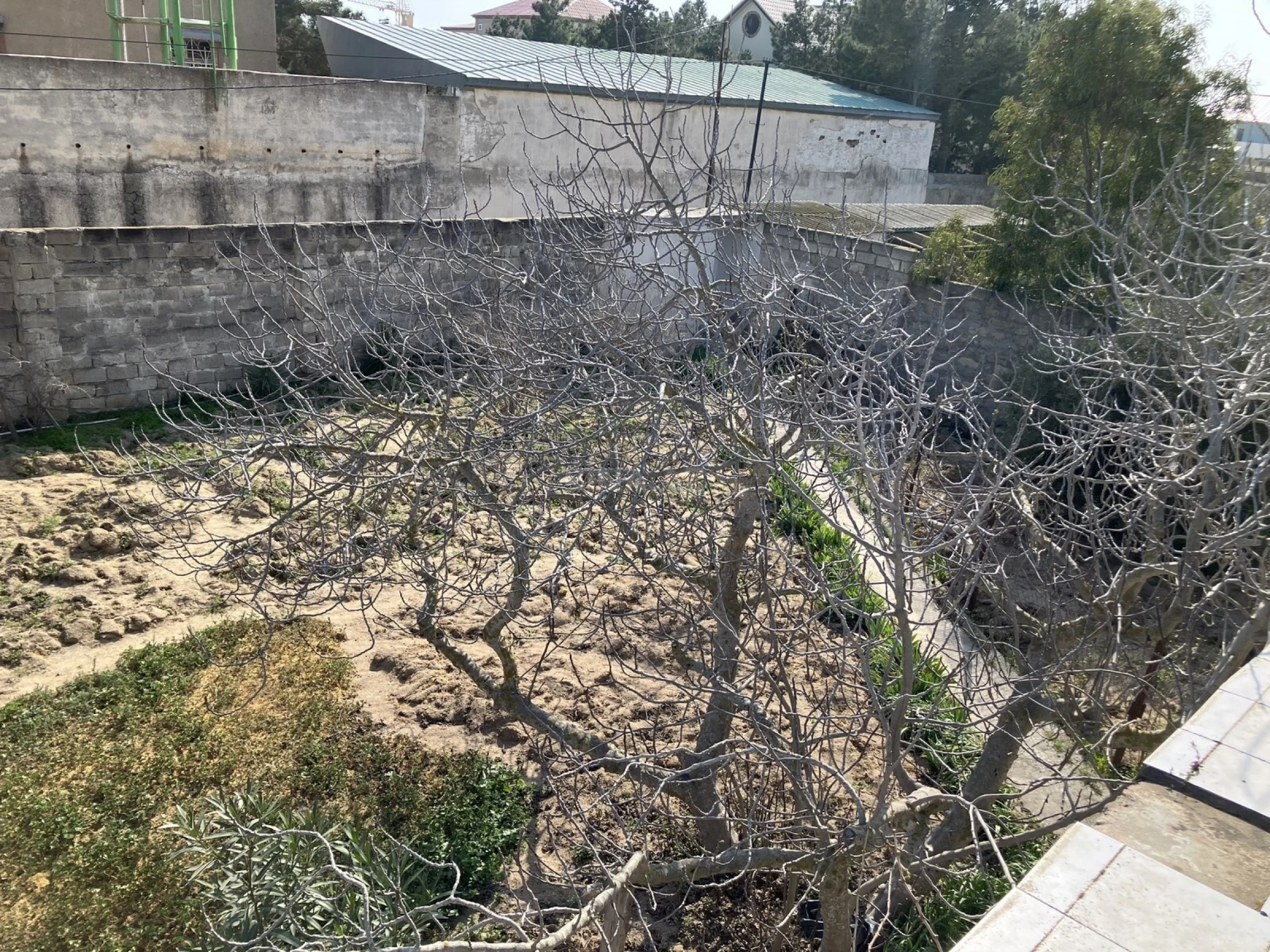 Satılır torpaq sahəsi 6 m²