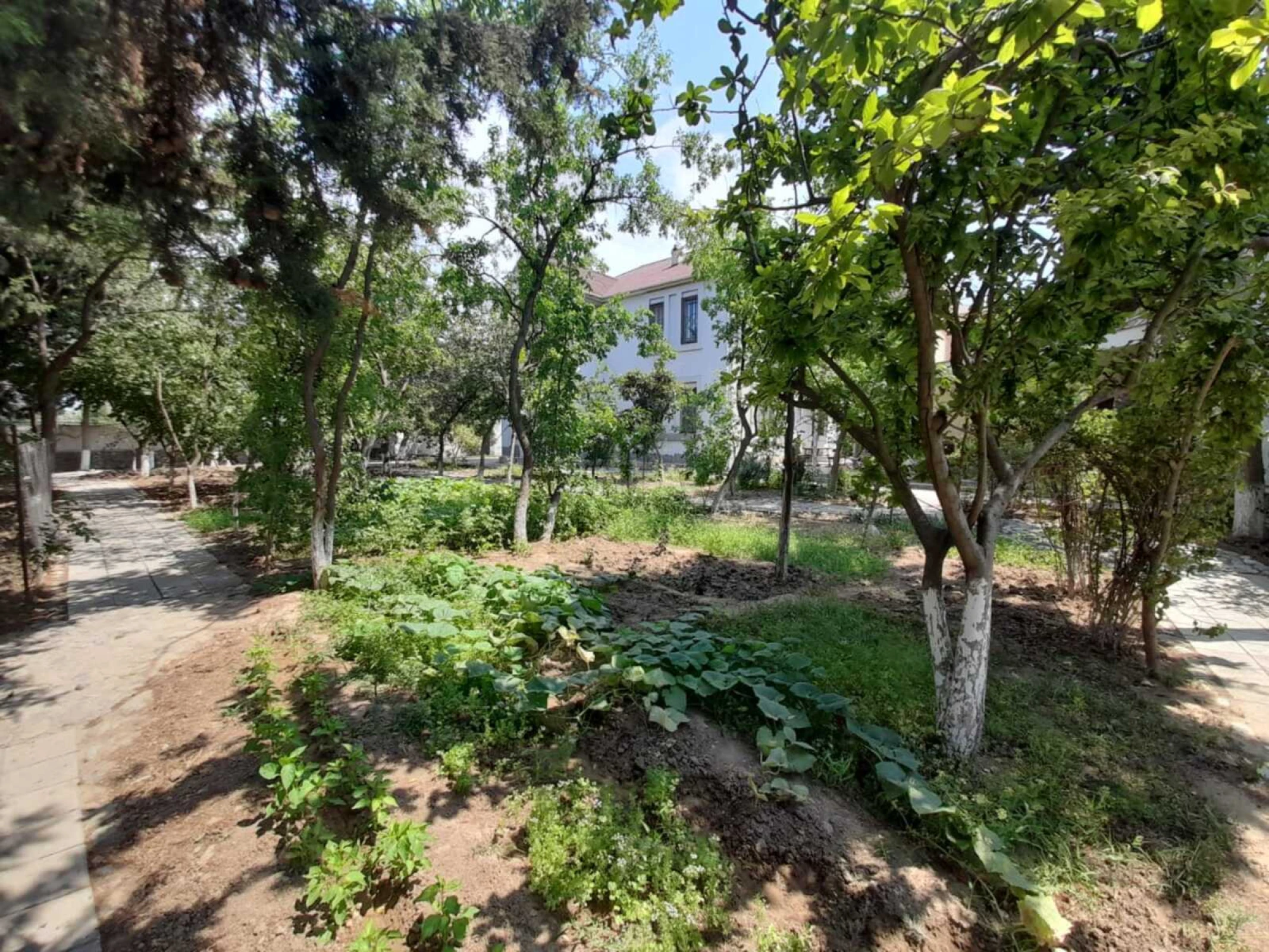Satılır 7 otaqlı həyət evi 650 m²