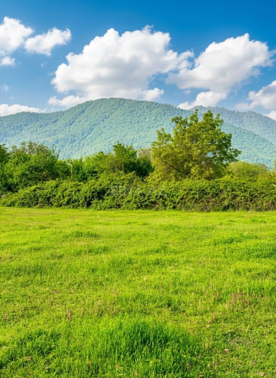 Satılır torpaq sahəsi 40 m²