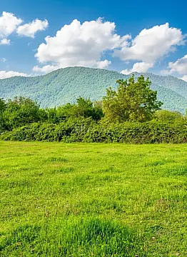 Satılır torpaq sahəsi 40 m²